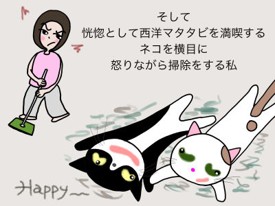 6
そして恍惚として西洋マタタビを満喫するネコを横目に怒りながら掃除をする私