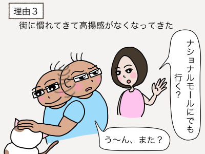 理由3 街に慣れてきて高揚感がなくなってきた「ナショナルモールにでも行く?」「う〜ん、また?」