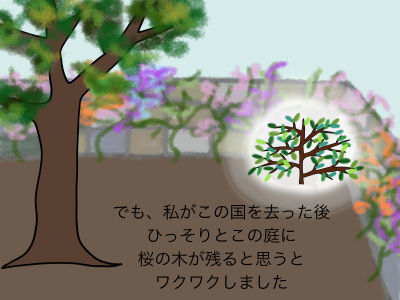 でも、私がこの国を去った後 ひっそりとこの庭に桜の木が残ると思うとワクワクしました