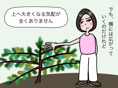 でも横には広がっていくのだけれど上へ大きくなる気配が全くありません
