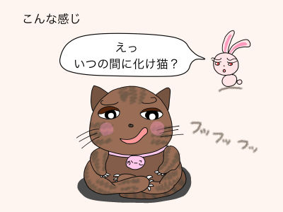 こんな感じ(ふてぶてしい猫)