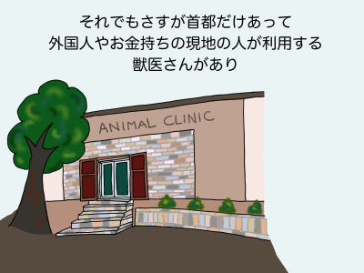 それでもさすが首都だけあって外国人やお金持ちの現地の人が利用する獣医さんがあり