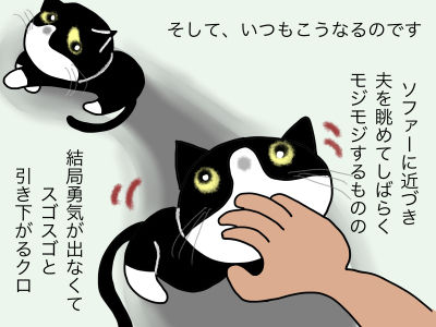 そして、いつもこうなるのです。 ソファーに近づき夫を眺めてしばらくモジモジするものの結局勇気が出なくて、スゴスゴと引き下がるクロ