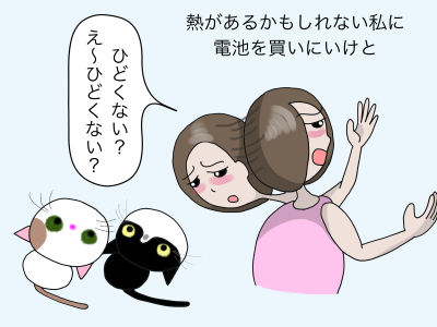 熱があるかもしれない私に電池を買いにいけと「ひどくない? え〜ひどくない?」