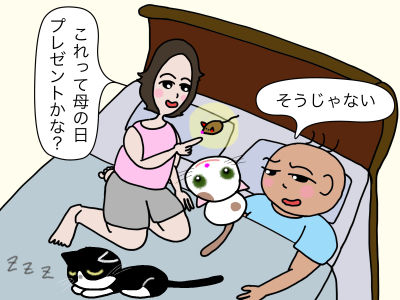 「これって母の日のプレゼントかな?」「そうじゃない」