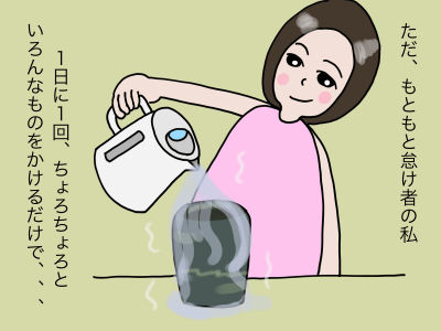 ただ、もともと怠け者の私 1日に一回、ちょろちょろといろんなものをかけるだけで、、、