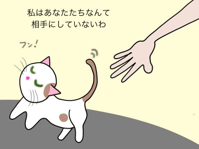 私はあなたたちなんて相手にしていないわ
