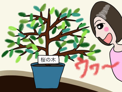 桜の木