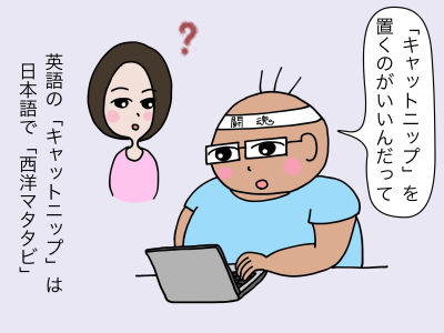 「『キャットニップ』を置くのがいいんだって」英語で「キャットニップ」は日本語で「西洋マタタビ」