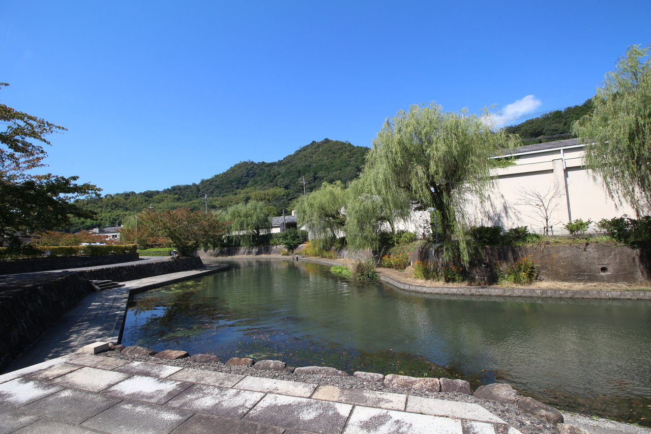 ママチャリで琵琶湖サイクル 近江八幡周辺観光 千葉 京都観光 見て