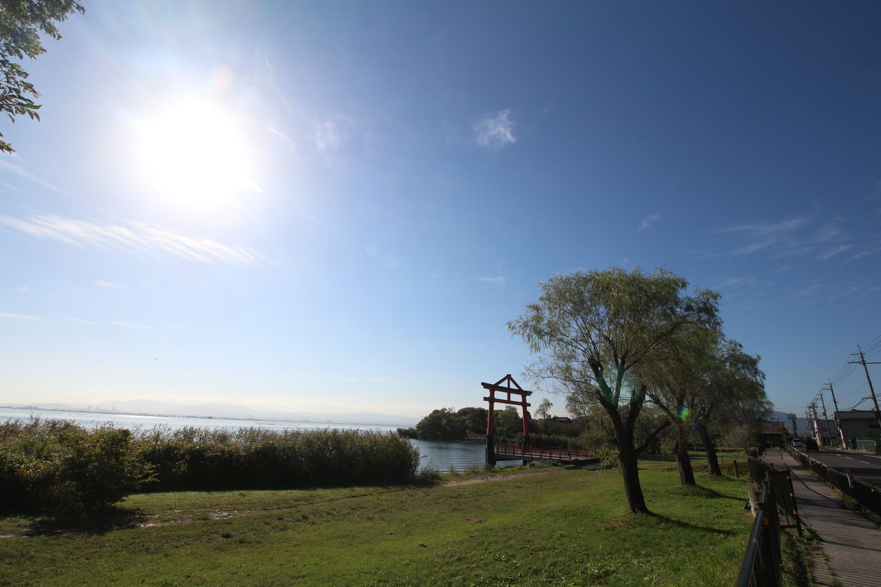 ママチャリで琵琶湖サイクル 大津 近江八幡往復1日90km 千葉 京都