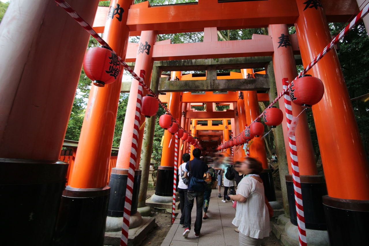 京都伏見稲荷大社 ライトアップされる千本鳥居 本宮祭 宵祭へ 千葉 京都観光 見て遊べるスポットを写真で紹介
