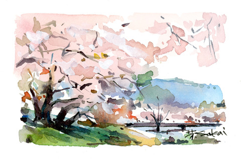 KYNE ガシュ水彩画 2 楽天市場】KYNE ガシュ水彩画 2
