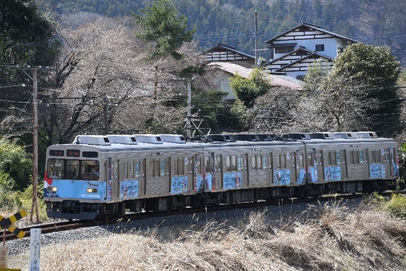3/31 秩父鉄道 花と普通電車編 : kakuekiteisya18のblog