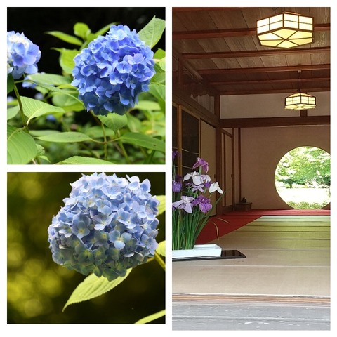 InCollage_20240604_223028084