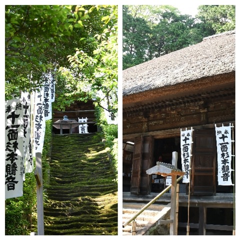 InCollage_20240604_223542795