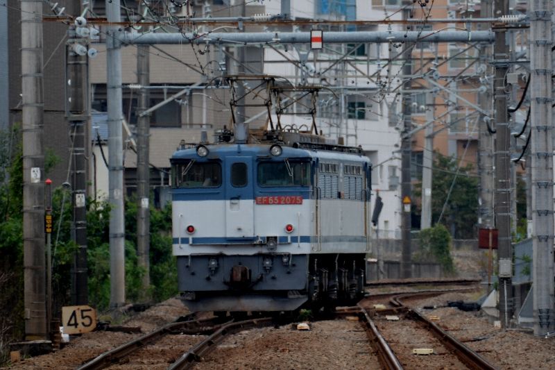 イメージ 5
