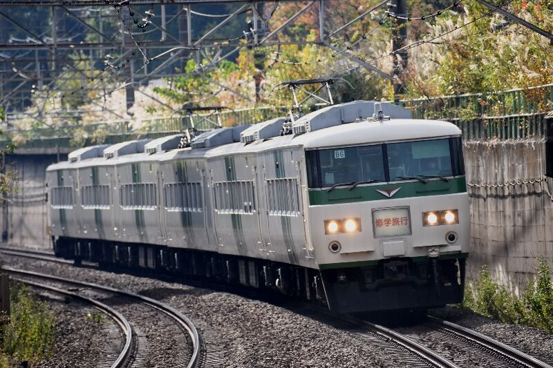 11 7 185系修学旅行集約臨 Kakuekiteisya18のブログ