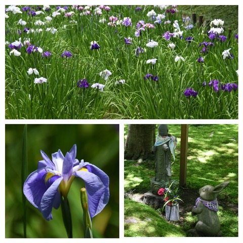 InCollage_20240604_223240220