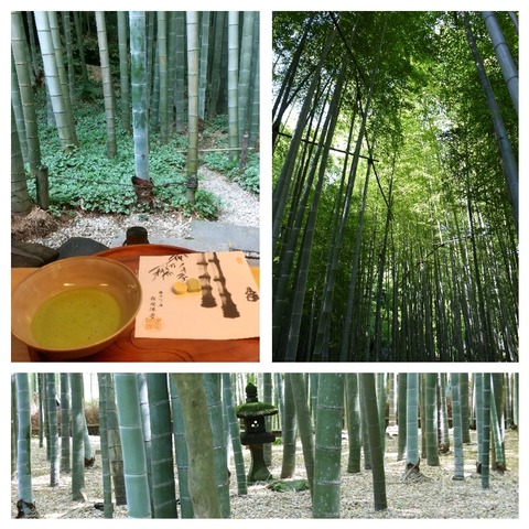 InCollage_20240605_093135746