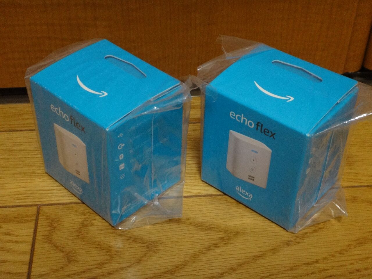 Echo Flex 購入 でも W ショボーン ゆみゆみ バイク沼の散在禄 Echo Flex 購入 でも W ショボーン ゆみゆみ バイク沼の散在禄