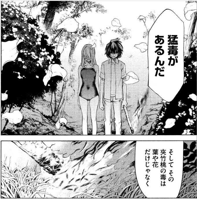 グレイプニル 5巻レビュー Cbr400r ｎc56 と400x Nc56 の散在禄