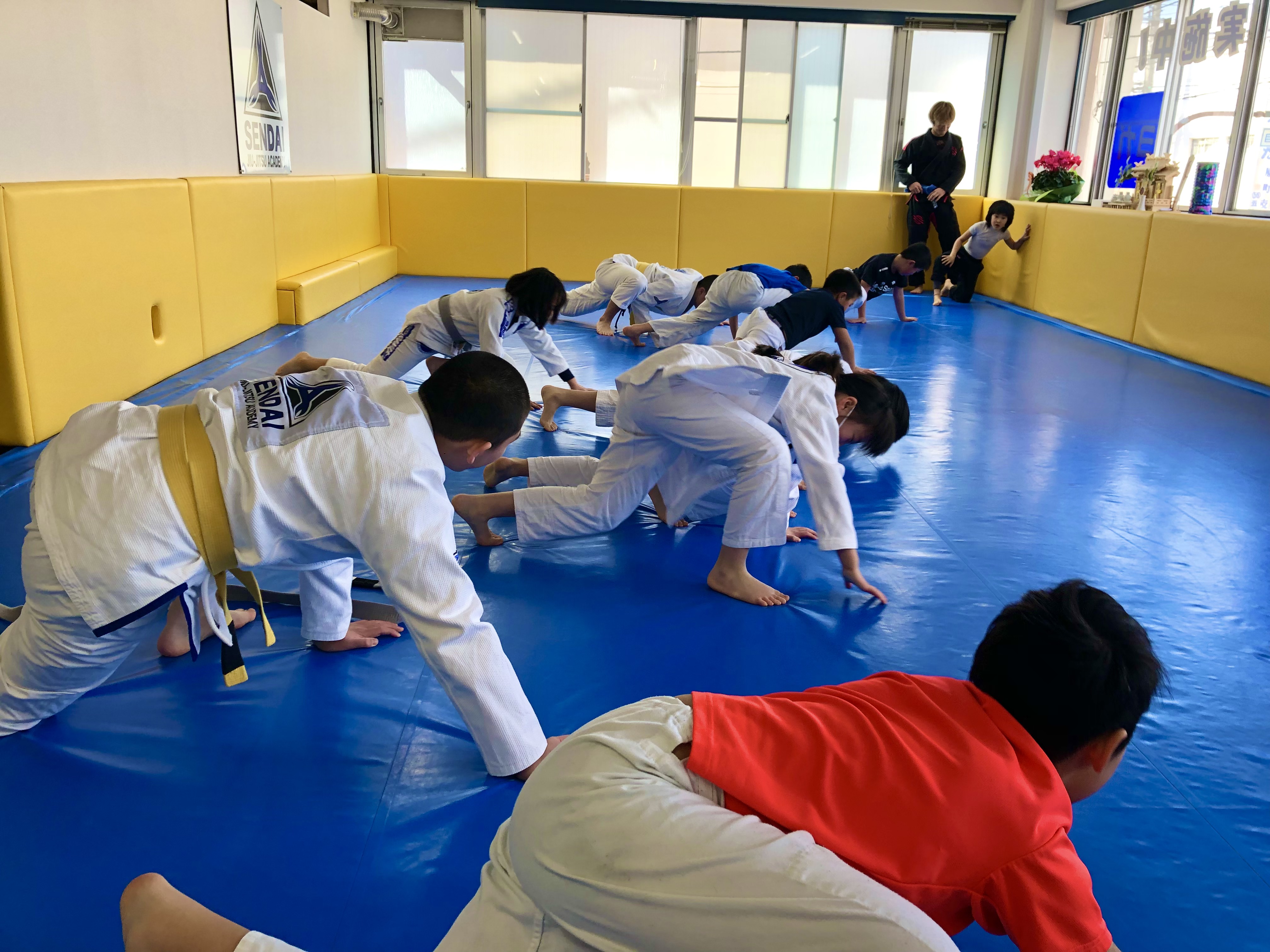 子供の習い事に柔術 Sendai柔術アカデミーblog