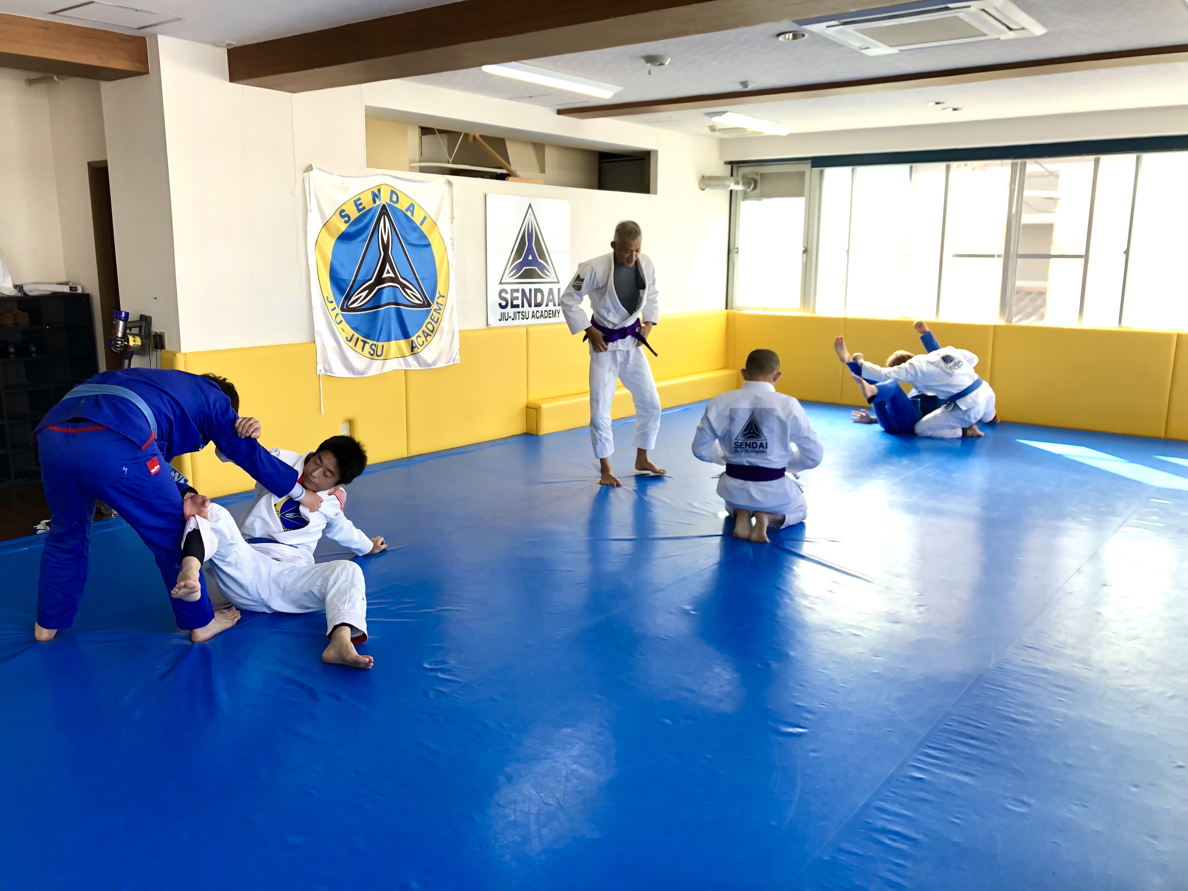 平日午前クラスがオススメな理由 Sendai柔術アカデミーblog