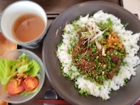 池商 高さ調整可能差し込み式ハンドル MYPALLAS/マイパラス 自転車