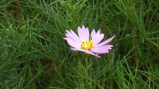 IMGP2944