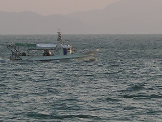 aaa 017