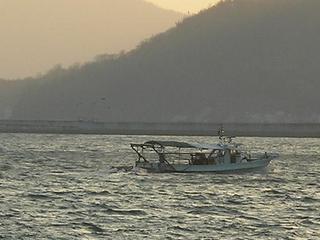 aaa 020