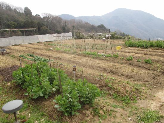 IMG_3800