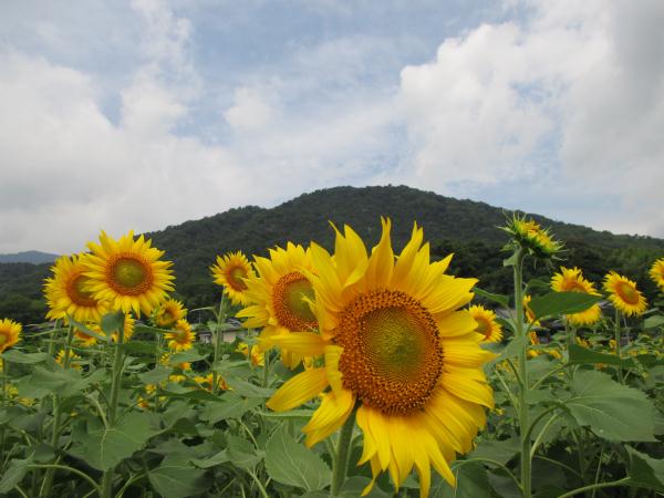 IMG_0055