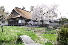 P1020676