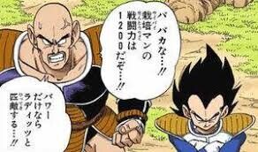 栽培マンってラディッツより強いんでね ドラゴンボールまとめちゃんねる 栽培マンってラディッツより強いんでね ドラゴンボールまとめちゃんねる