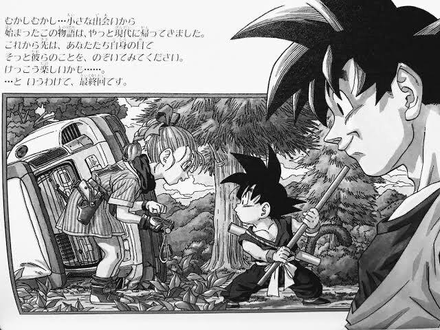 ドラゴンボールの悟空とブルマの関係好きな奴おる マンガまとめちゃんねる ドラゴンボールの悟空とブルマの関係好きな奴おる マンガまとめちゃんねる