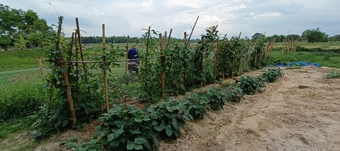 IMG20240522164414