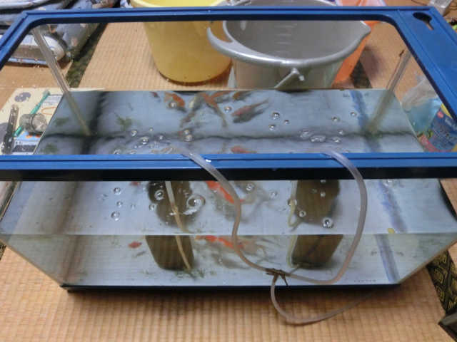 水漏れ 何でもない日常の気まぐれな記録 水漏れ 何でもない日常の気まぐれな記録