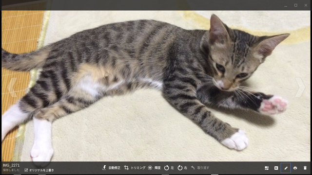 ギャラリーの画像編集画面