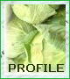 b_profile
