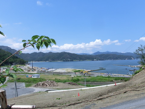 CIMG8931