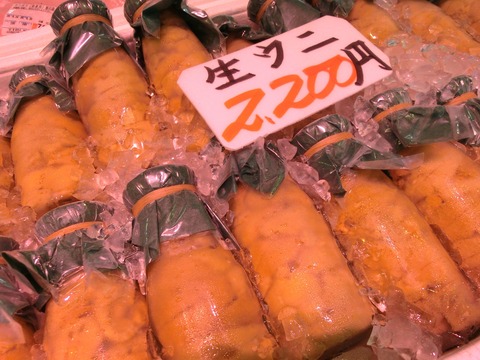 CIMG2334
