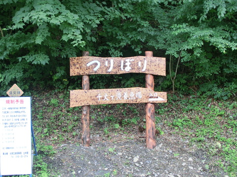 CIMG4219