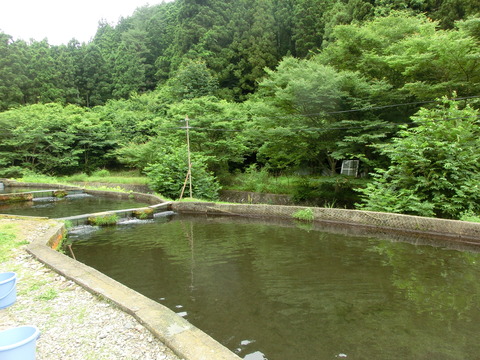 CIMG4170
