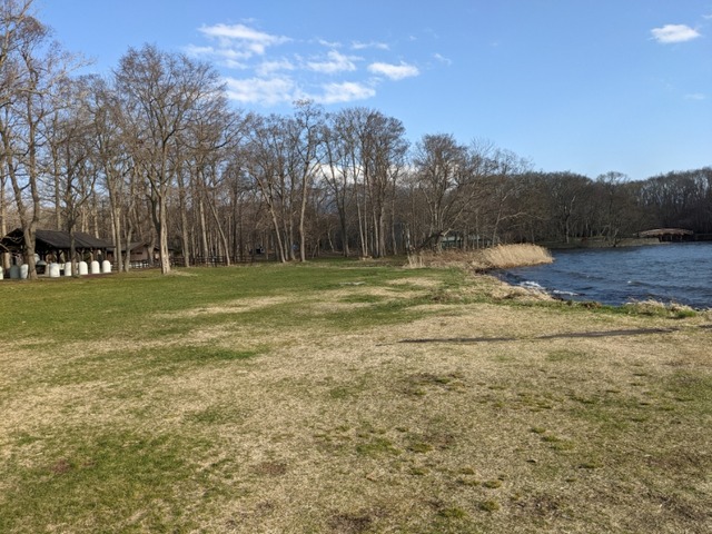 PXL_20210419_071133994
