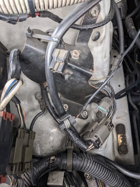 PXL_20210503_041706337