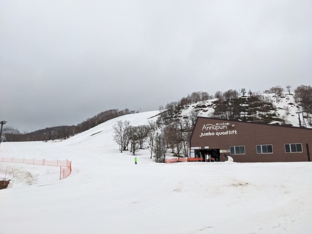 PXL_20210419_012257078