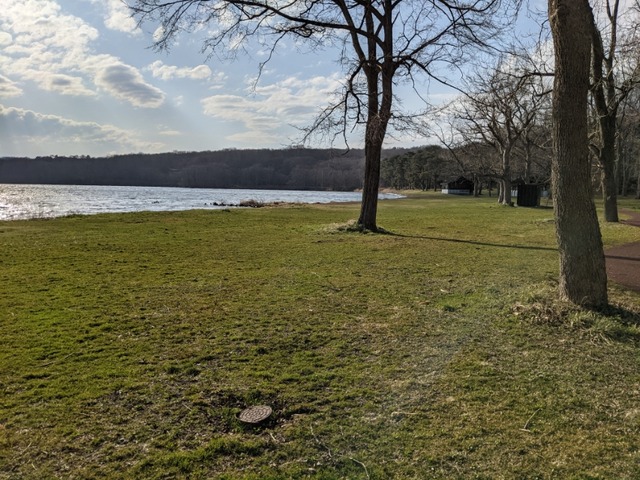 PXL_20210419_071002574