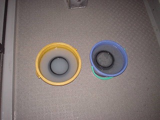 a71b0502.jpg